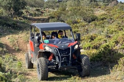 TopBuggy Buggy Safari Ronda Gorge Trip - Old-town and winery passes: building the right “Ronda” perspective
