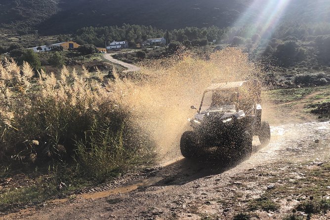TopBuggy Buggy Safari Ronda Gorge Trip - Puerta de Almocabar and the fortified wall drive-by