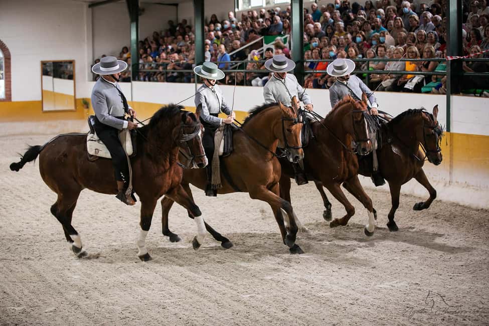 Torremolinos: Spanish horse and flamenco show - Quick hits you’ll care about