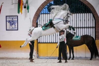 Torremolinos: Spanish horse and flamenco show - Choosing your ticket: horse show only vs guided tour vs full dinner and flamenco