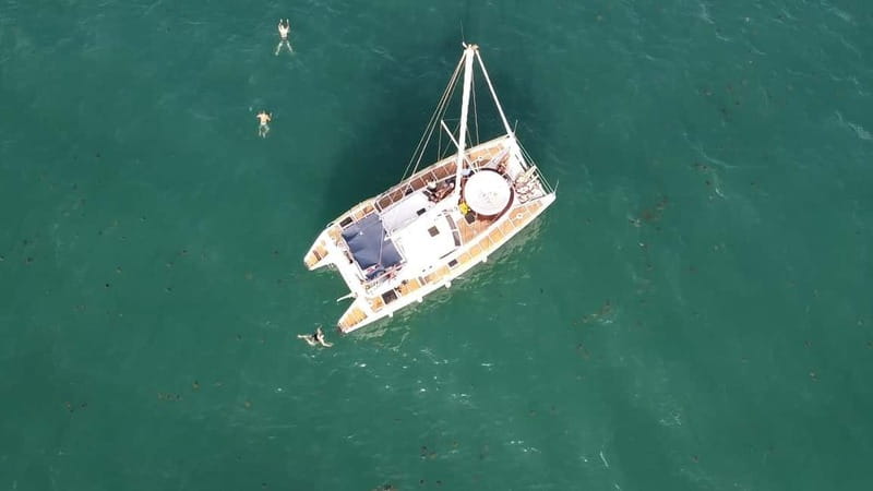 Torrevieja: Catamaran cruise and sunset with swimming - Price and value: is $65 a good deal for this mix?