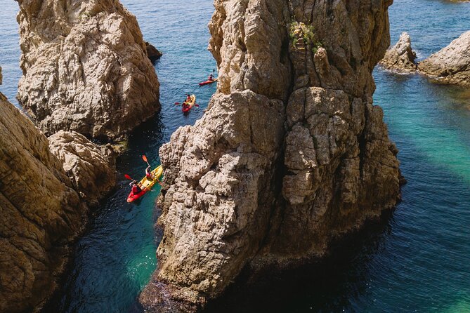 Tossa de Mar: Kayak & Snorkel Tour with Paella from Barcelona - Should You Book This Tossa de Mar Kayak and Snorkel Day Trip?