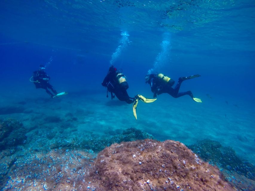 Tossa de Mar: Scuba Diving Experience for Beginners - What happens during your SSI Try Scuba training (3 hours)