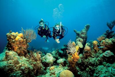 Tossa de Mar: Scuba Diving Experience for Beginners - The controlled underwater time: max 12m and a supervised 40–45 minutes