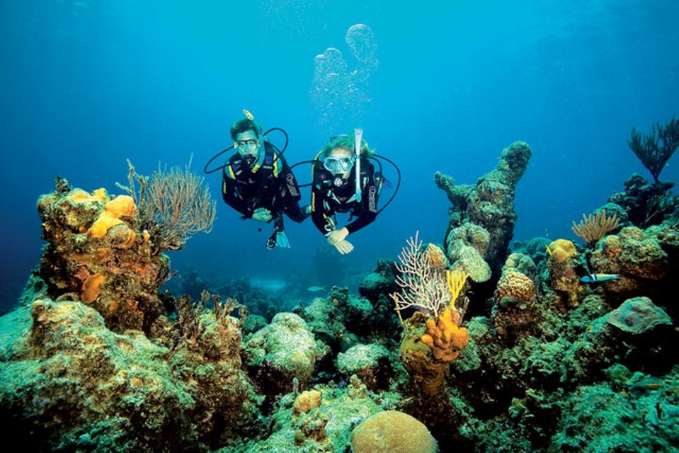 Tossa de Mar: Scuba Diving Experience for Beginners - The controlled underwater time: max 12m and a supervised 40–45 minutes