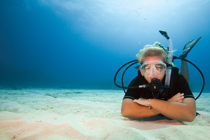Tossa de Mar Scuba Diving PADI - What You’ll See Underwater Around Tossa de Mar
