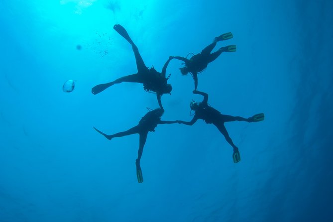 Tossa de Mar Scuba Diving PADI - Souvenir Photos and Videos: Bring Home Proof