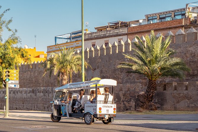 Tour Welcome Seville with Local Guide in Eco Tuk Tuk Private - Key highlights to look for