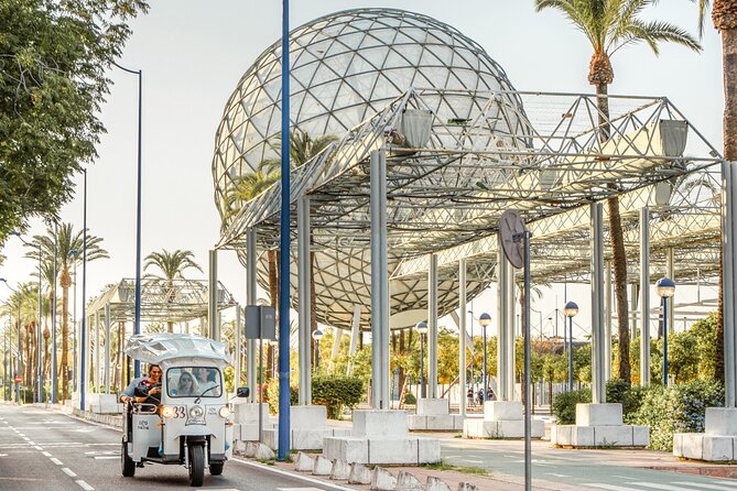 Tour Welcome Seville with Local Guide in Eco Tuk Tuk Private - Who this Seville eco tuk tuk tour is best for