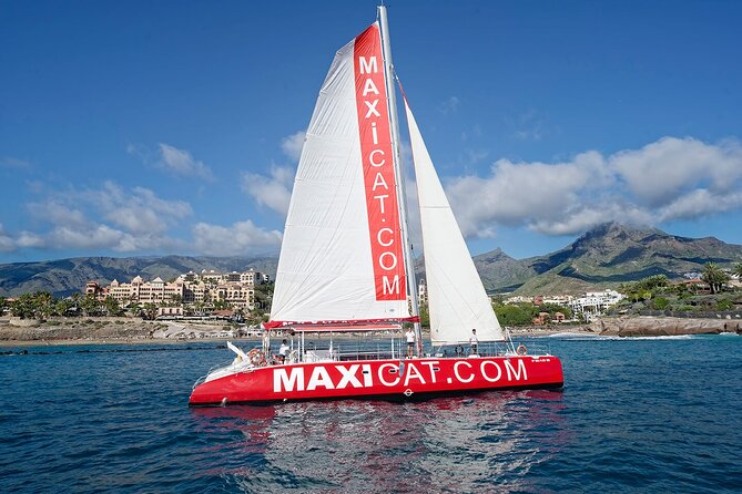 Tour with Whale and Dolphin Watching plus food included - Key highlights you’ll actually care about
