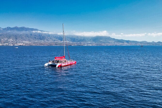 Tour with Whale and Dolphin Watching plus food included - What you’re really buying on this Tenerife whale cruise