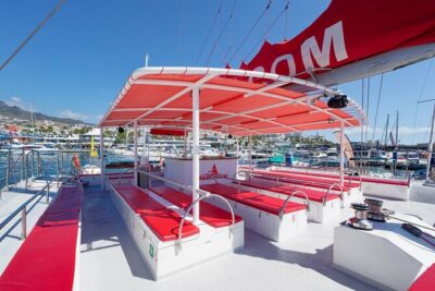 Tour with Whale and Dolphin Watching plus food included - How Costa Adeje and the MAXICAT boarding process sets the tone
