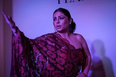 Traditional Flamenco Show - What the 60-minute show is really like