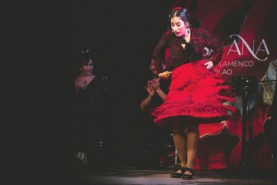 Traditional Flamenco Show at Tablao Casa Ana - Seating, Intimacy, and the Photo Rules in the Cosy Theatre