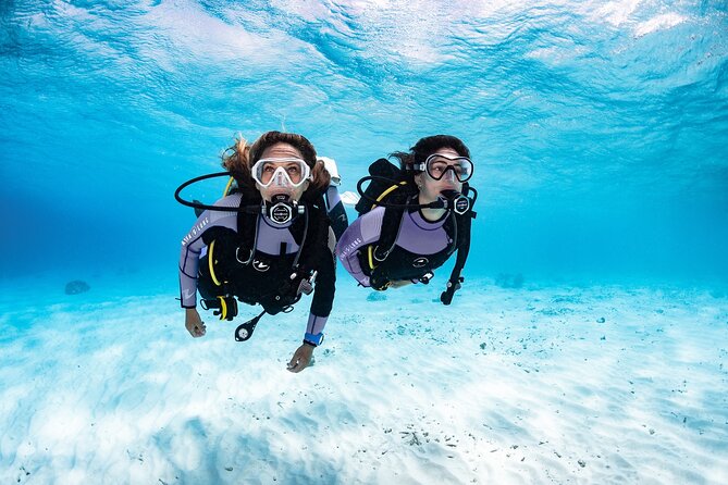 Try Dive - PADI Discover Scuba Diving in Tenerife - Price and Value: Is $156.07 a Good Deal Here?