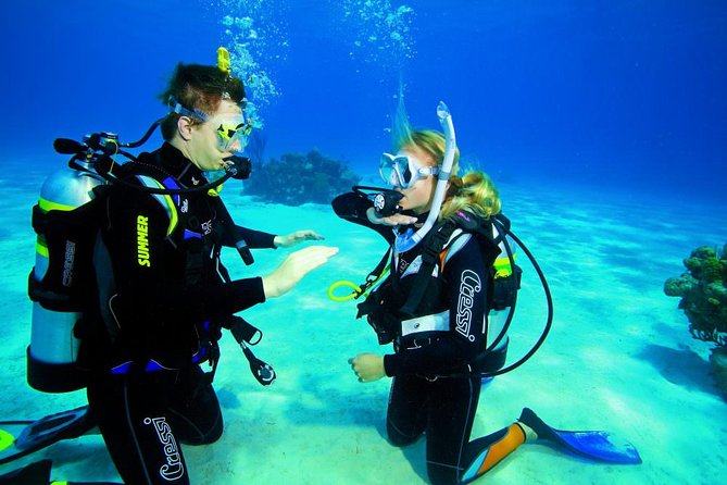 Try Dive - PADI Discover Scuba Diving in Tenerife - What to Bring and How to Prepare (No Overthinking Needed)