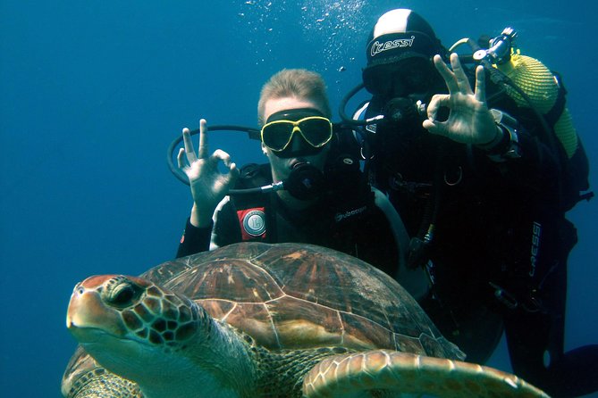 Try Scuba Diving in a turtle area (boat) - Key things to know before you go