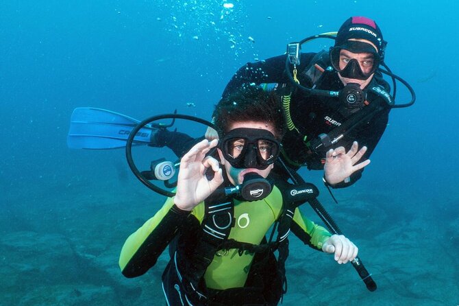 Try Scuba Diving in a turtle area (boat) - Costa Adeje’s turtle waters are the hook, not the gimmick