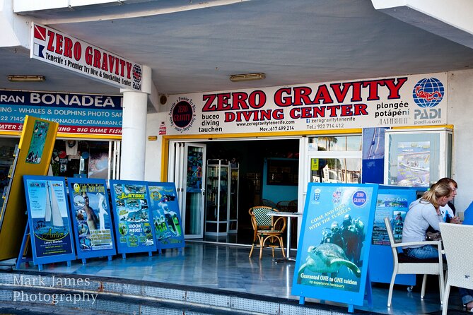 Try Scuba Diving in a turtle area (boat) - Snorkeling safari after the first breath: what you might see