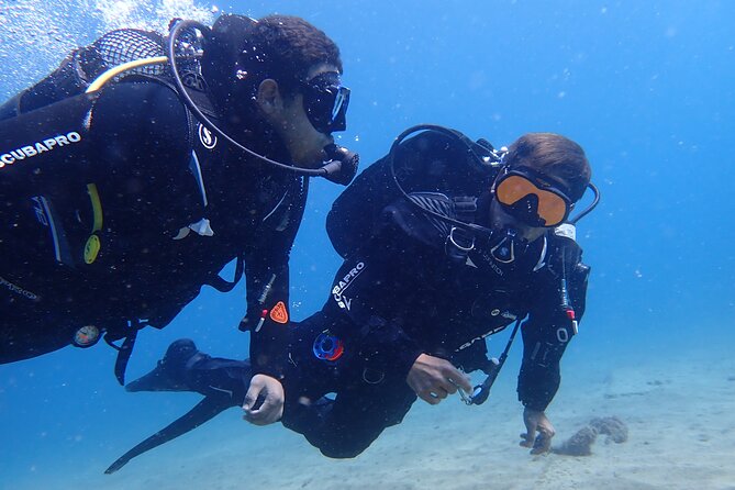 Try Scuba Diving in Lanzarote (No experience needed) - Key Highlights That Matter for First-Timers