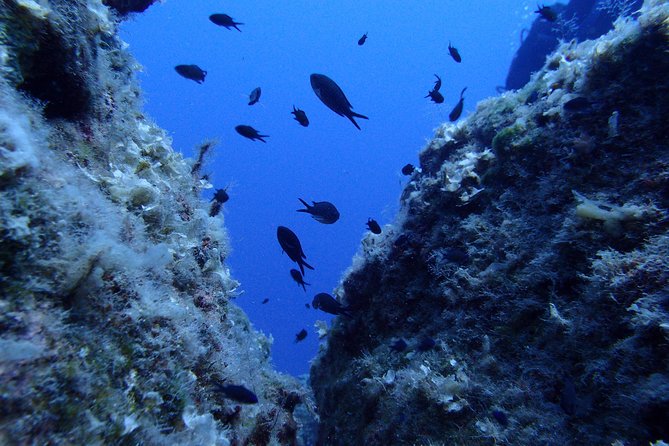 Try Scuba Diving in Lanzarote (No experience needed) - The Safety Briefing: How They Teach Without Overwhelming You