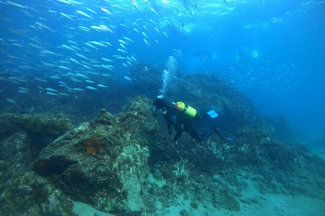 Try Scuba Diving with 2 Ocean Dives - Instructors and the calm safety culture you’ll feel