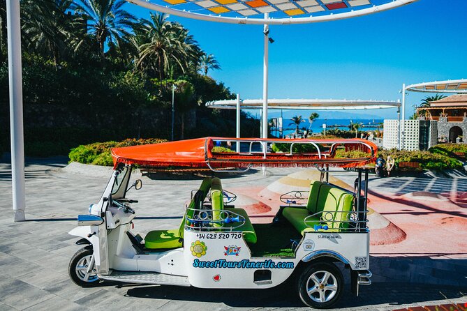 Tuk Tuk Tours in Costa Adeje - La Caleta in 10 Minutes: Fisher Village, Natural Pools, and Real Local Life