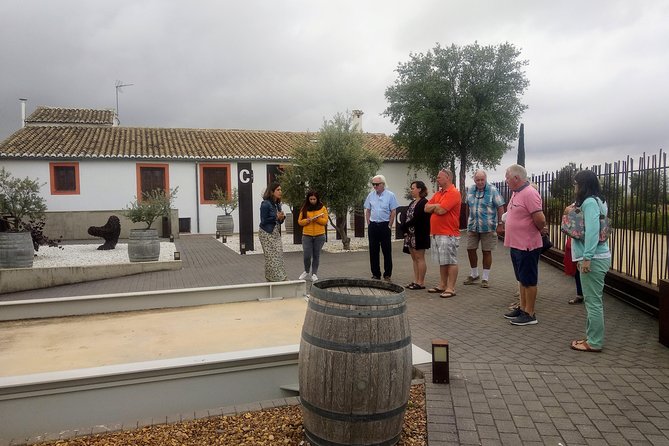 Two wineries tour with wine tasting - What You’ll Actually Learn and Taste: Bobal, Tardana, and Fermentation