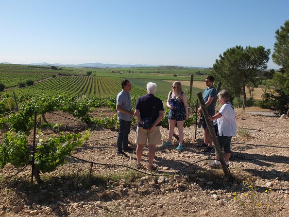 Two wineries tour with wine tasting - Who This Tour Fits Best (and Who Might Want Something Else)