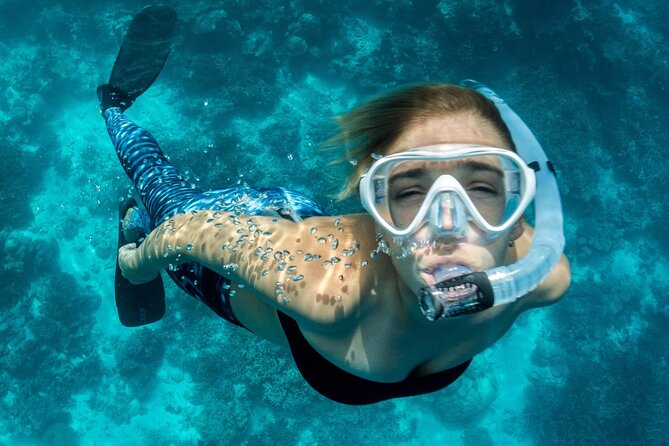Uncharted Marine Reserve Cave, Snorkel & Cliff Jumping Kayak Tour - A kayak route with two totally different thrills
