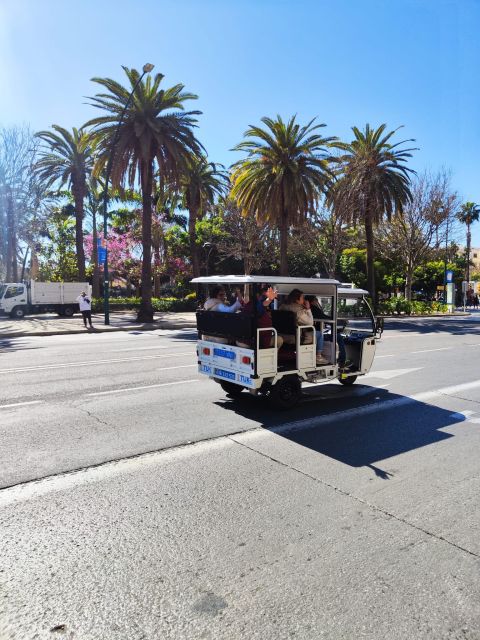 Valencia: 2-hour City Highlights Guided Tour by Tuk Tuk - Mestalla Stadium and the La Marina Neighborhood: Valencia’s Real-Life Texture