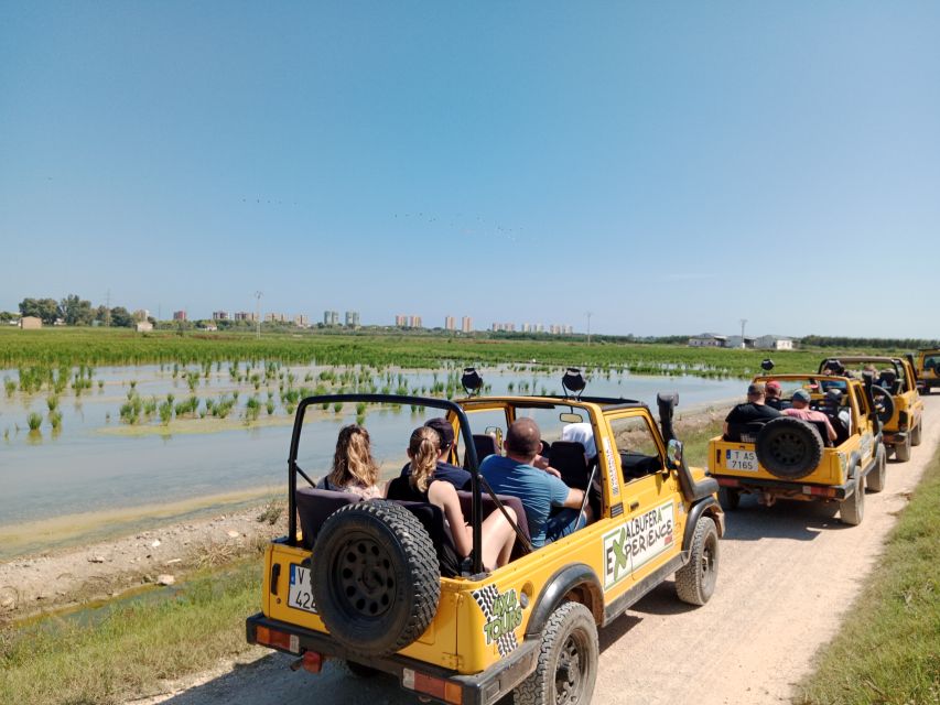 Valencia: Albufera Jeep and Boat Tour - Who Should Book This Albufera Jeep and Boat Tour?