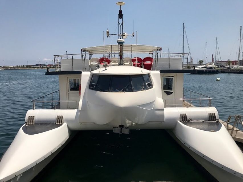 Valencia: Catamaran Cruise, Paella Lunch and Swim Stop - Key things to know before you go