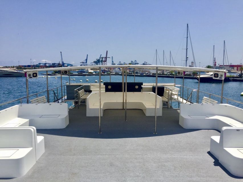 Valencia: Catamaran Cruise with Stop for Swimming - Key moments that make this cruise worth it