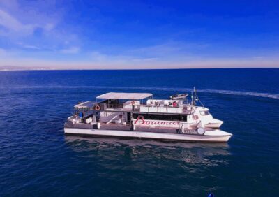 Valencia: Catamaran Cruise with Stop for Swimming - The 1.5-Hour Game Plan: Sail Out, Anchor, Swim