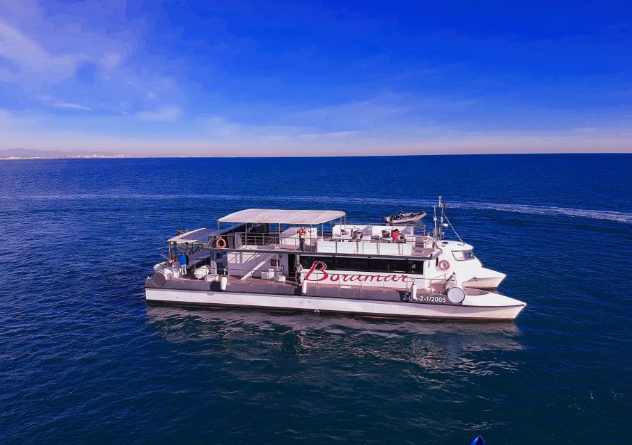 Valencia: Catamaran Cruise with Stop for Swimming - The 1.5-Hour Game Plan: Sail Out, Anchor, Swim