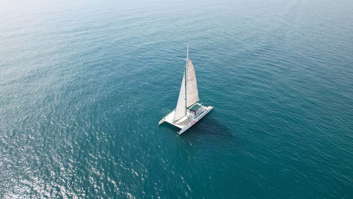 Valencia: Catamaran Party Boat with Lunch - The Day-Of Flow: Arrival Time and 3 Hours on the Water