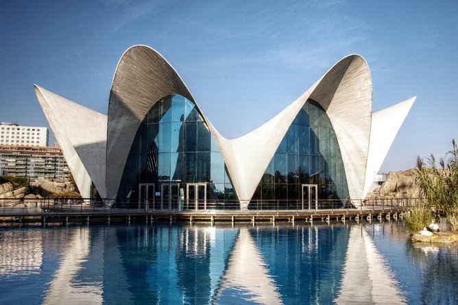 Valencia City Excursion - From Albir, Benidorm & Calpe - Food Time in Valencia: What to Look For When Your Lunch Clock Hits