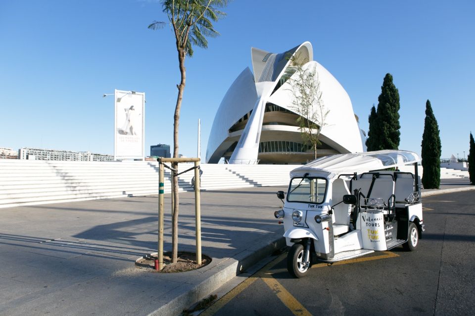 Valencia: Complete Tuk-Tuk Tour Around the City - The Turia riverbed: where Valencia’s day-to-day vibe shows up