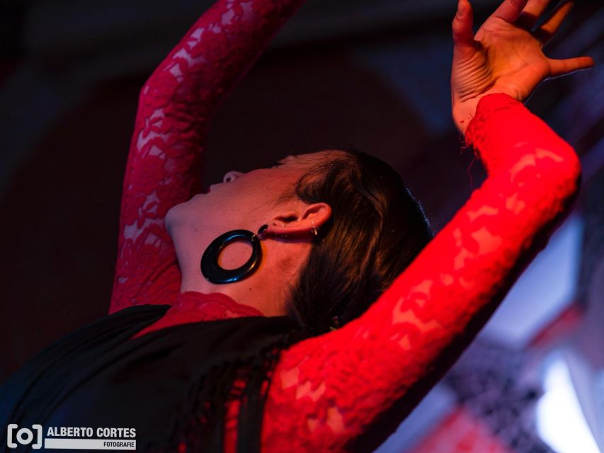 Valencia: Flamenco at Toro y La Luna with optional Dinner - Key things to know before you go