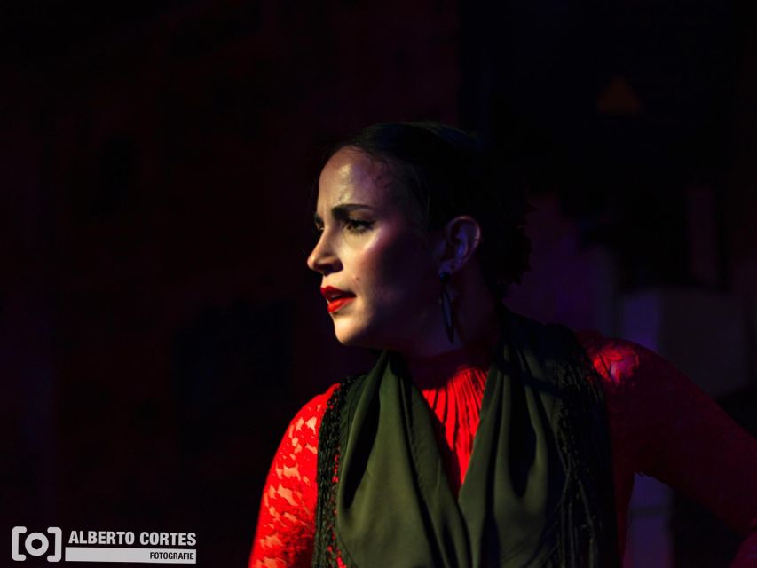 Valencia: Flamenco at Toro y La Luna with optional Dinner - Should you book El Toro y La Luna in Valencia?