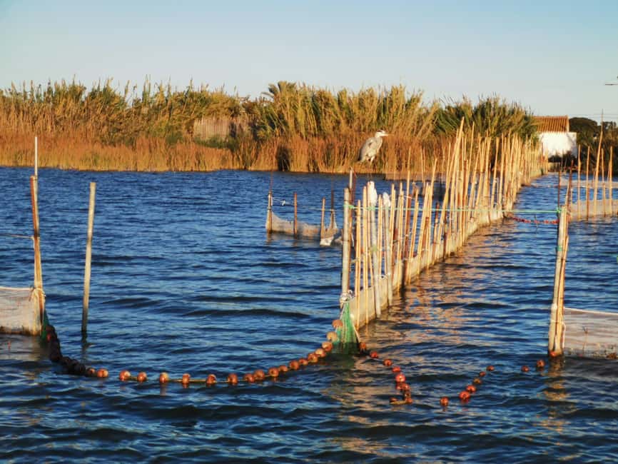 Valencia: Guided Lake Albufera Boat Ride and Barraca Tour - Key things I’d plan around