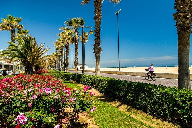Valencia Highlights with Private Vehicle (Private Tour) - City of Arts and Sciences: Calatrava and Candela in one modern sweep