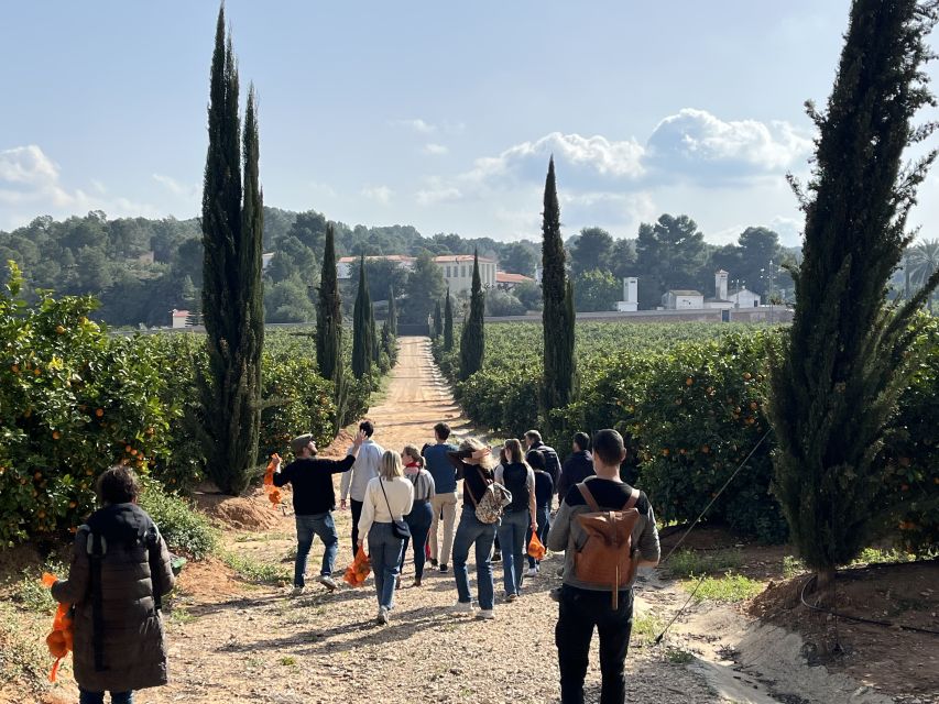 Valencia: Orange Farm and Orchard Trip with Tastings - Logistics in Plain English: Getting There Without Stress