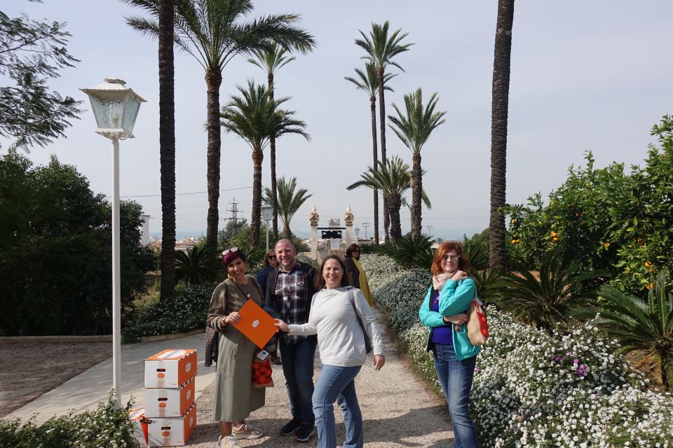 Valencia: Orange Farm and Orchard Trip with Tastings - The Naranjas Ribera Warehouse: Calibration and Selection