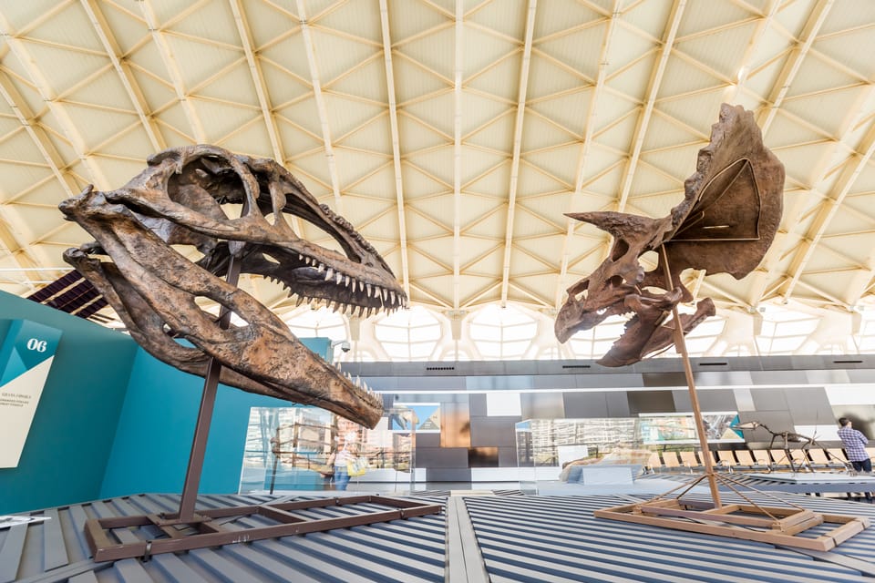 Valencia: Principe Felipe Science Museum Entry Ticket - Family tips that actually help