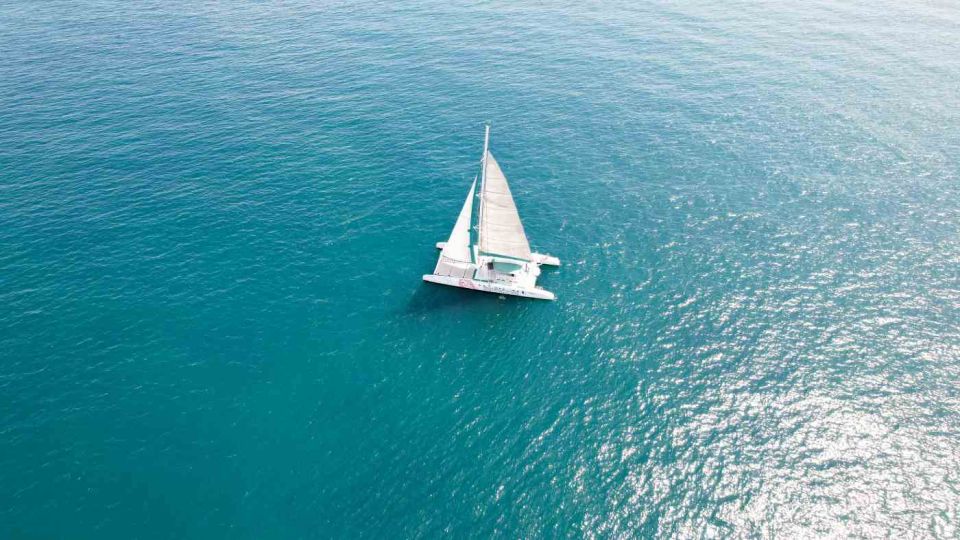 Valencia: Sailing Catamaran Cruise with Valencian Lunch - Should you book the Valencia catamaran cruise with Valencian lunch?