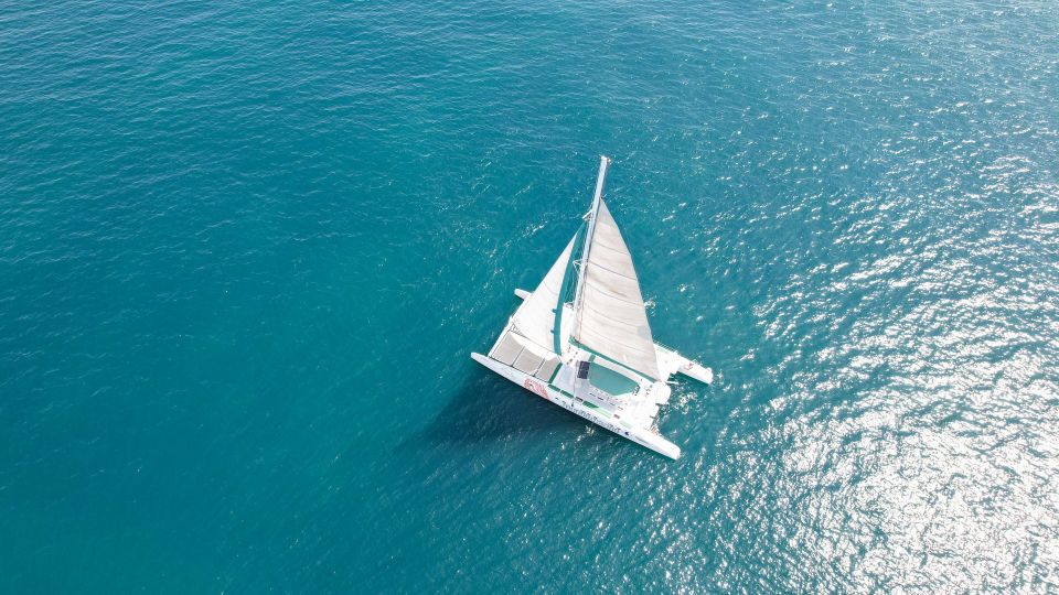 Valencia: Sailing Catamaran Cruise with Valencian Lunch - Meeting Mundo Marino and setting expectations for a 3-hour ride