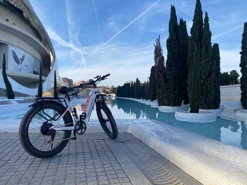 Valencia: Top 25 Highlights Guided Bike Tour - Meeting at C. de Puerto Rico, 23: bikes, helmets, and how to prep