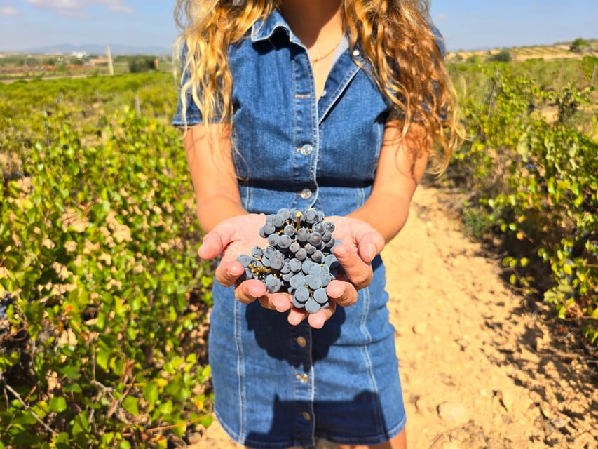 Valencia: Utiel-Requena Cave & Winery Day Trip with Tasting - Key things you’ll notice on this day trip